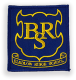 Embroidered Badge